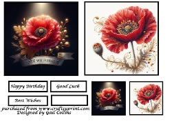 poppy day