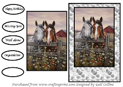 Two horses