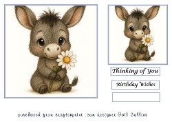 Donkey daisy