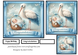 Baby boy and stork