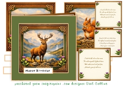 scottish wildlife