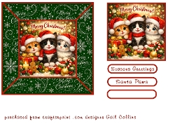 christmas santa paws
