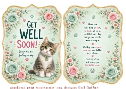 get well kitty mint