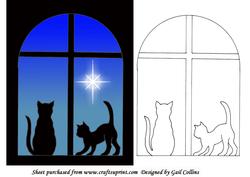 Cats at Night