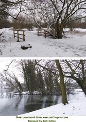 Snow Pictures