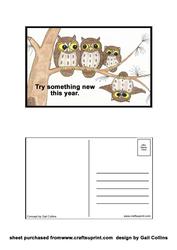 Owl Family