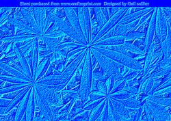Blue Textured Leaves