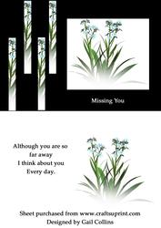 Missing You