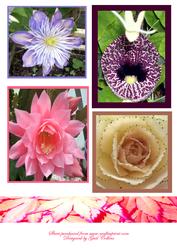 Flower Toppers