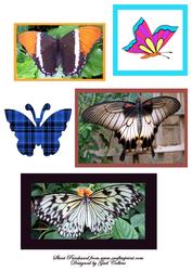 Butterflytoppers