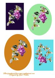Foxglove Toppers 2