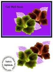 Tropical Flower