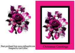 Christmas Rose