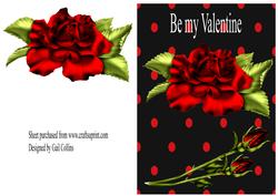 Valentine Roses