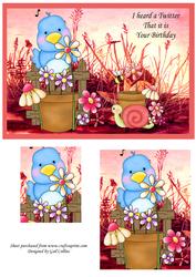 Birthday Twitter