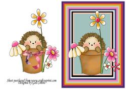 Hedge Hog Surprise