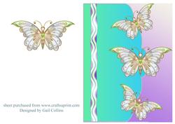 Butterflies x 3