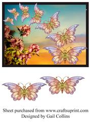 Butterfly Trail
