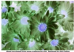 Chrysanths Magical
