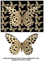 Butterfly Dream