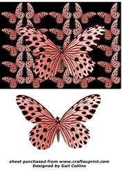 Butterfly Blush