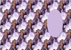 Wild Horses Insert