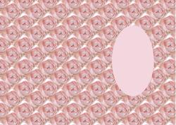 New Baby Girl Insert