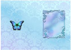 Heavenly Blue Sympathy Insert