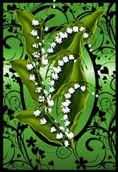 Lilly of the Vally