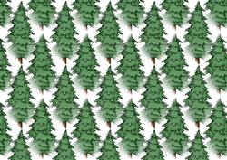 Merry Xmas