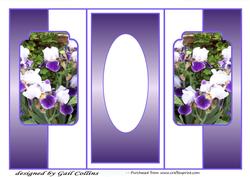 Bearded Iris