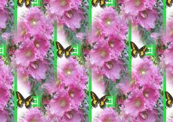 My Garden Hollyhocks Backing Sheet