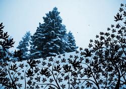 Snow at Dusk
