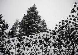 Xmas Snow