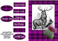 The Scottish Stag