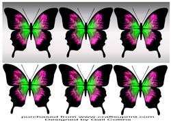 Butterfly Trio