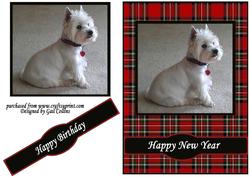 Happy New Year with Munro