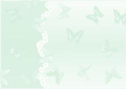 Pastel Butterflies Mint