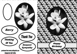 Monochrome Floral Card