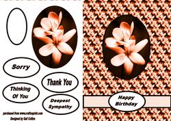 Floral Card Orange