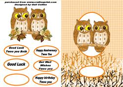 Owl Couple
