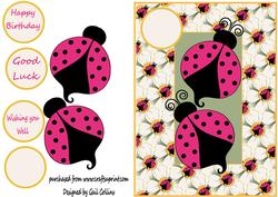 Lady Bird Lady Bird Fly Away Home
