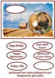 Happy Retirement