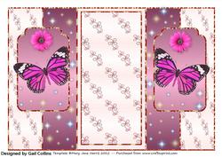 Butterfly Fold Back