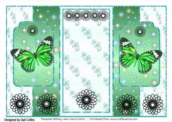 Butterfly Fold Back 4