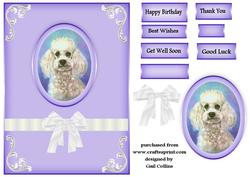 Vintage Poodle