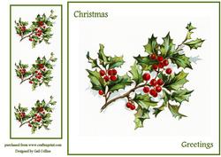 Christmas Holly