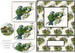 Birds in the Country