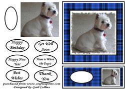 Sweet Munro