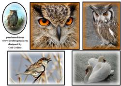 Bird Toppers No 1